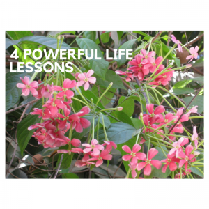 Life Lessons - Dr.Mani