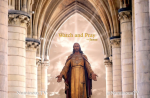 Mystic Wisdom Quote Jesus